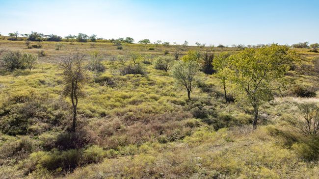 View of nature | Image 6