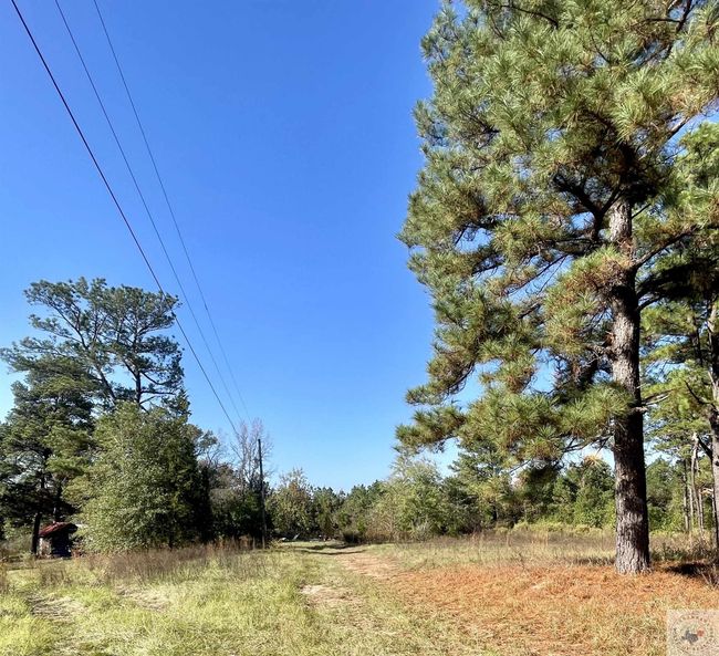 1407 Miller County 3, Home with 0 bedrooms, 0 bathrooms and null parking in Doddridge AR | Image 8