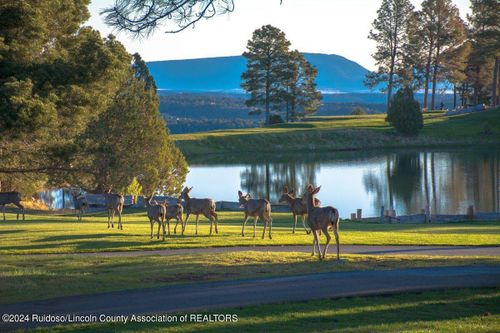 112 Antler Drive, Alto, NM, 88312 | Card Image