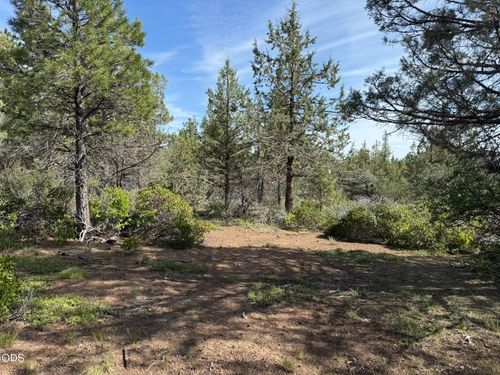 lot-29-0 Porpoise Ln, Bonanza, OR, 97623 | Card Image