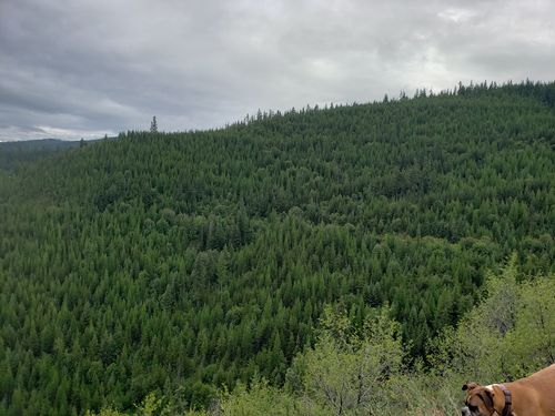 lot-16-16 Mile, Huson, MT, 59846 | Card Image