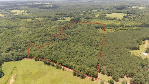 TBD 38.110 Ac Cr 3206, Mount Enterprise, TX, 75681 | Card Image