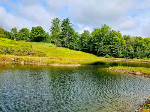 00 W Hill Rd S, Jamaica, VT, 05343 | Card Image