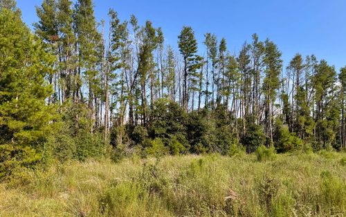 LOT2F Sw 52nd Ln, Jasper, FL, 32052 | Card Image