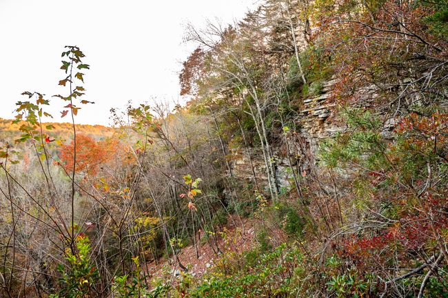 2272 Little Bend Rd, Home with 0 bedrooms, 0 bathrooms and null parking in Signal Mountain TN | Image 10