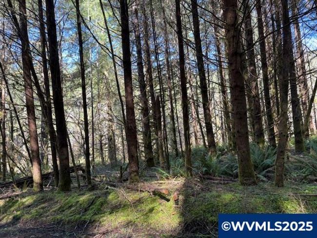 0 Logsden Rd, Home with 0 bedrooms, 0 bathrooms and null parking in Blodgett OR | Image 18