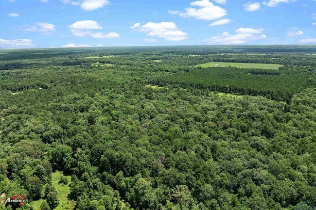 TRACT-1 - TBD Pr 1335, Home with 0 bedrooms, 0 bathrooms and null parking in Marshall TX | Image 7
