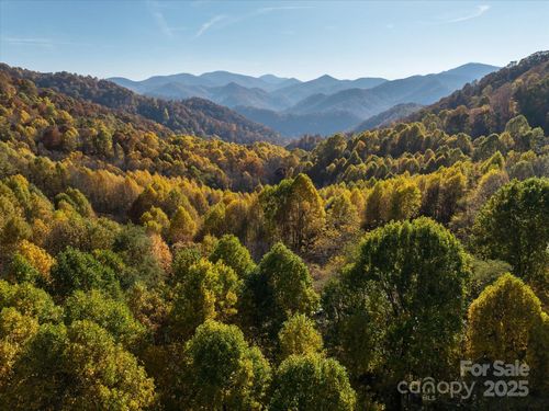 1397 Bee Branch Road, Hot Springs, NC, 28743 | Card Image