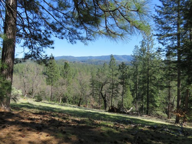 4196 Bald Mountain Rd, Home with 0 bedrooms, 0 bathrooms and null parking in West Point CA | Image 36