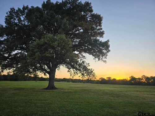 TBD Vz County Road 4509, Ben Wheeler, TX, 75754 | Card Image