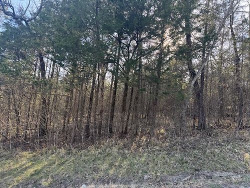 1 Table Rock/Cottonwood Drive, Holiday Island, AR, 72631 | Card Image