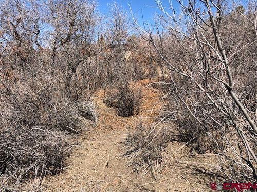 249 & 261 Jennifer Place, Pagosa Springs, CO, 81147 | Card Image