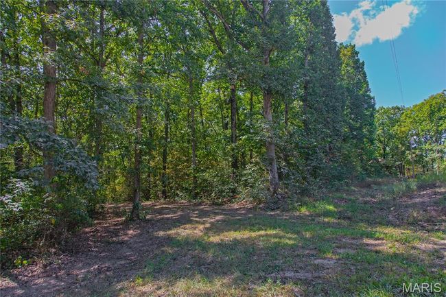 View of yard with a view of trees | Image 9