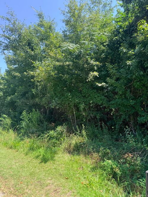 00 Society Rd, Mc Clellanville, SC, 29458 | Card Image
