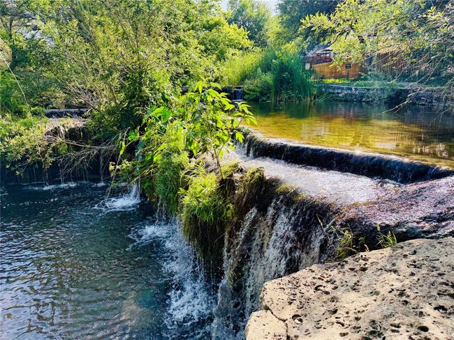 5 min walk to the gorgeous grotto in the Hamilton Greenbelt with miles of wooded trails and a bird sanctuary | Image 29