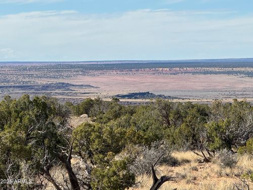 62-62 Sierra Highland Rd, Saint Johns, AZ, 85936 | Card Image