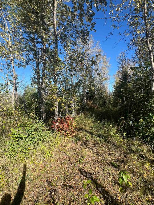 XXX Highway 133, Meadowlands, MN, 55765 | Card Image