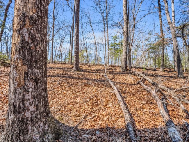 21-24-AND-25 - 000 Forester Ln, Home with 0 bedrooms, 0 bathrooms and null parking in Mill Spring NC | Image 18