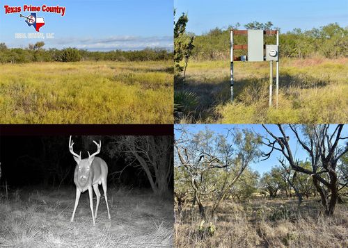 2055 472, Rochelle, TX, 76872 | Card Image