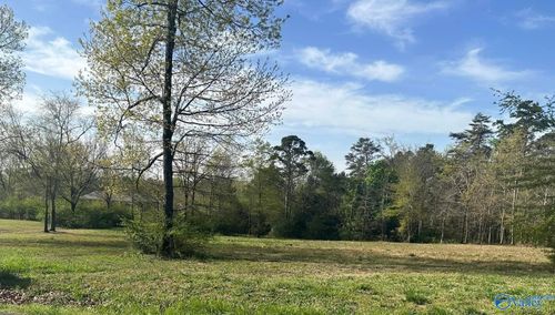 221 Rockhaven Drive, Guntersville, AL, 35976 | Card Image