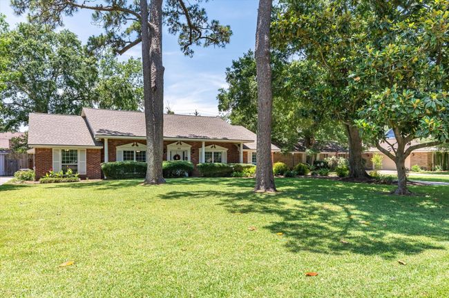 Huge front yard with tons of shade | Image 4