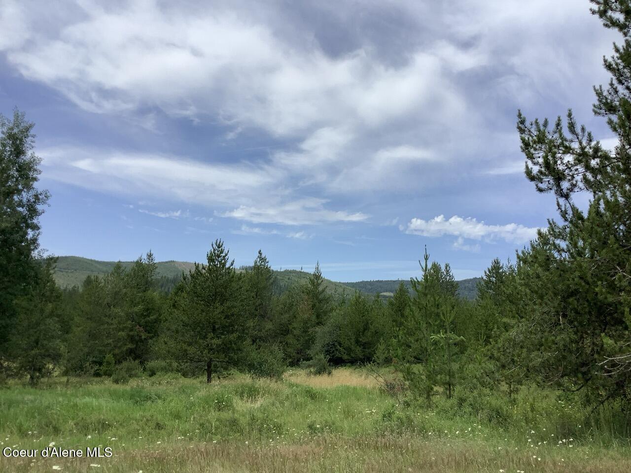 Land in St. Maries