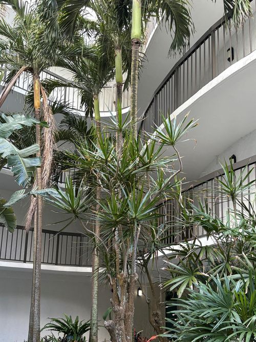 apt-316-1357 Ne Ocean Blvd, Stuart, FL, 34996-1506 | Card Image