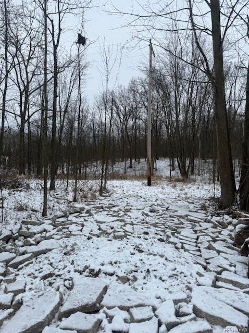 0 Williams Rd, Gaines, MI, 48436 | Card Image