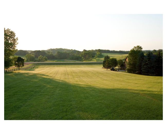 Enjoy the beautiful warm glow of the sunrise on top of the meadow | Image 39