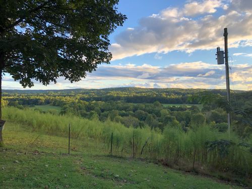 199 Dixon Ln, Waynesboro, TN, 38485-3912 | Card Image
