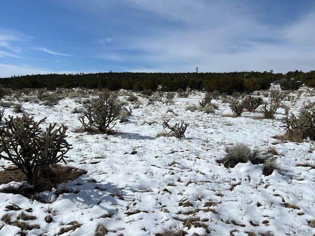 28 Turkey Ridge Rd, Home with 0 bedrooms, 0 bathrooms and null parking in Walsenburg CO | Image 21