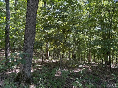 5.49 Acres T Warren, Warrenton, MO, 63383 | Card Image