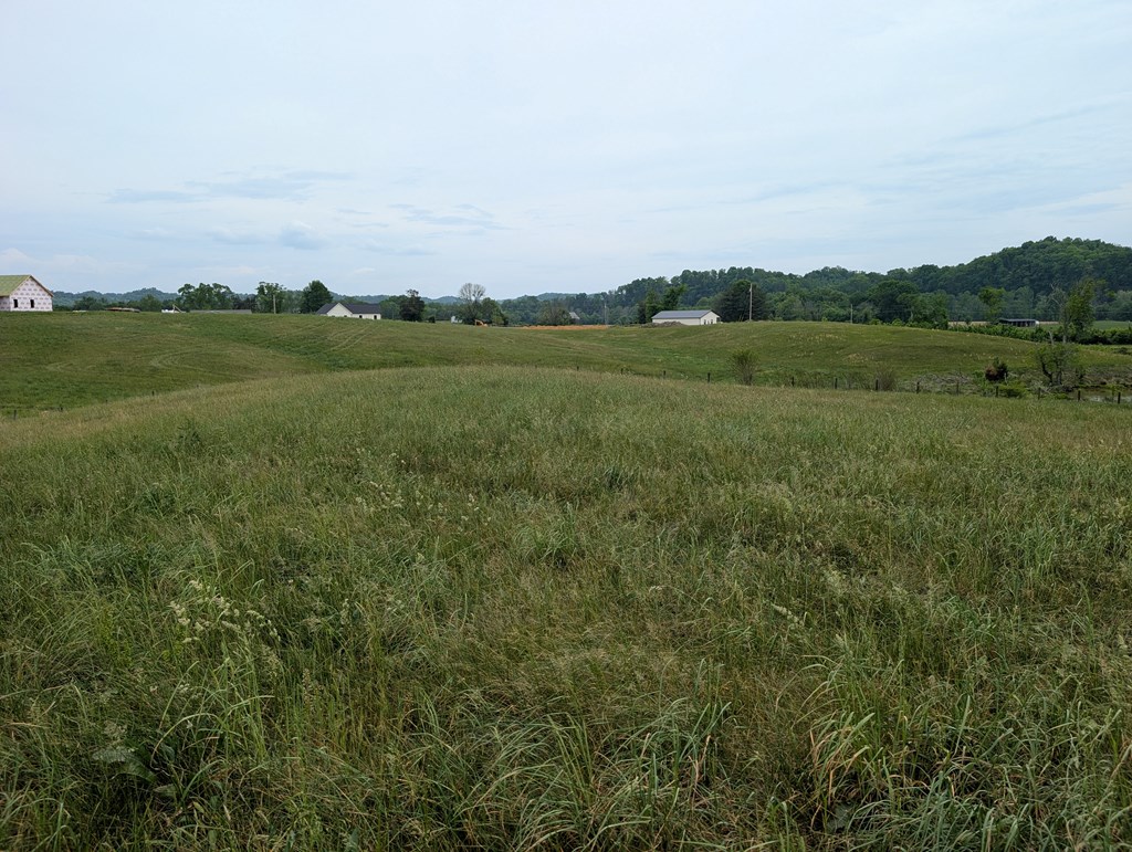 Land in Burkesville 2