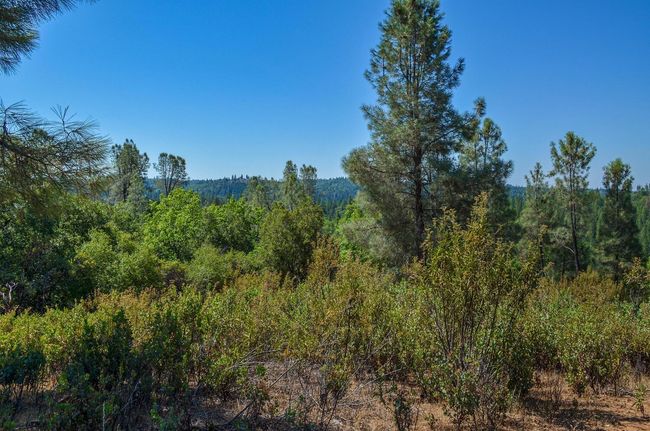 16688 Sonshine Ln, Home with 0 bedrooms, 0 bathrooms and null parking in Sutter Creek CA | Image 32