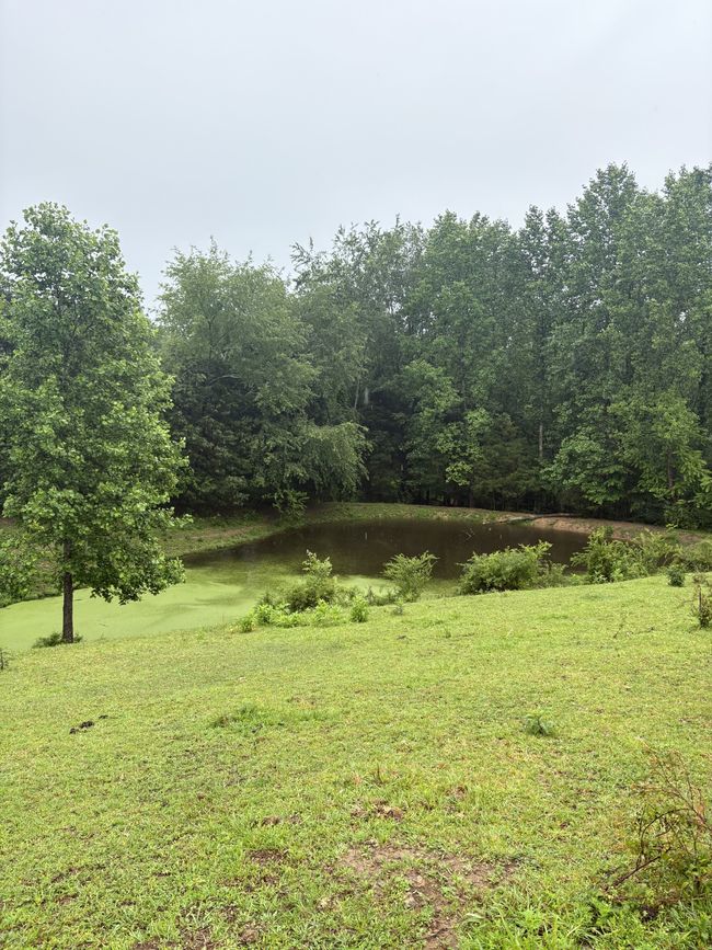 1813 Lafayette Rd, Home with 0 bedrooms, 0 bathrooms and null parking in Red Boiling Springs TN | Image 4