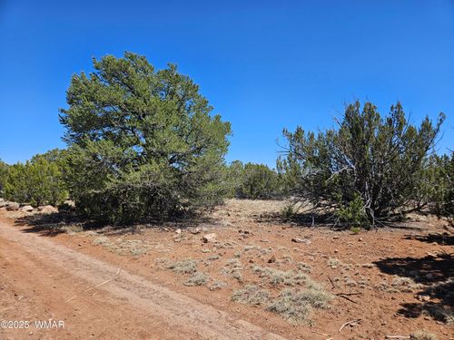 TBD N8060, Concho, AZ, 85924 | Card Image