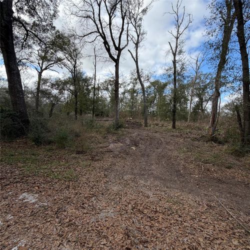 25028 Leitrim St, Hempstead, TX, 77445-7963 | Card Image