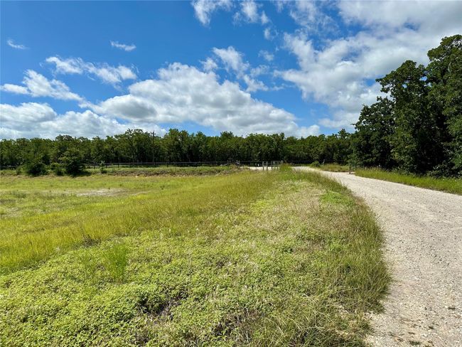 View of dirt / gravel road with a forest view and a rural view | Image 6