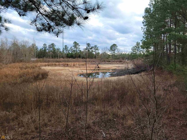 2757 Us Highway 1 N, Home with 0 bedrooms, 0 bathrooms and null parking in swainsboro GA | Image 25