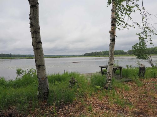 14941 Bayshore Dr, Lewiston, MI, 49756-8006 | Card Image