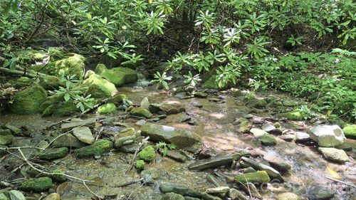 0 Dry Creek Rd, Robbinsville, NC, 28771 | Card Image