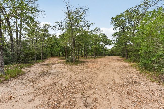 View of nature with a forest view | Image 19