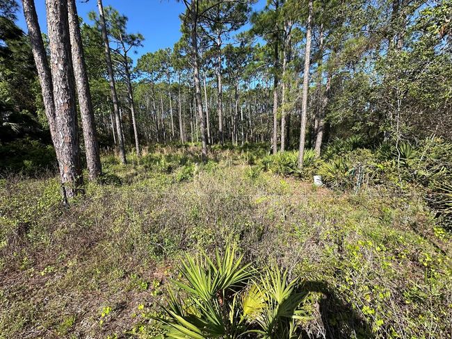 176 Shadow Bay Dr, Home with 0 bedrooms, 0 bathrooms and null parking in Eastpoint FL | Image 10