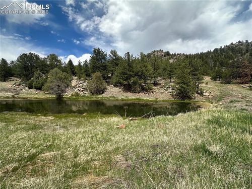 2332 County Road, Florissant, CO, 80816 | Card Image