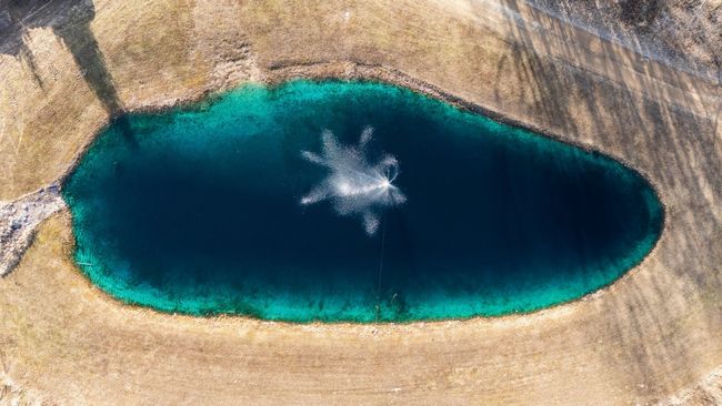 Pond | Image 28