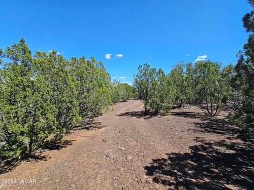 1259 K B Ranch Rd, Show Low, AZ, 85901 | Card Image