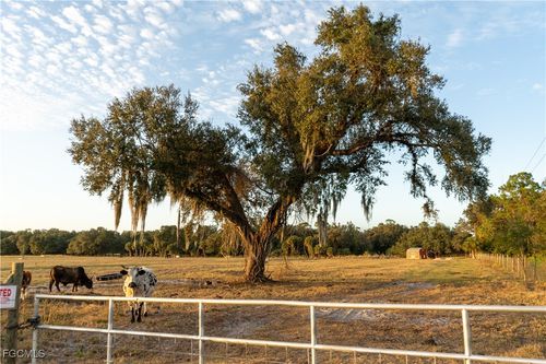 894 Cemetery Rd, FORT DENAUD, FL, 33935-6398 | Card Image