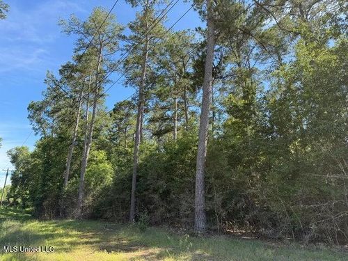 2 Acres Highway 49, Collins, MS, 39428 | Card Image