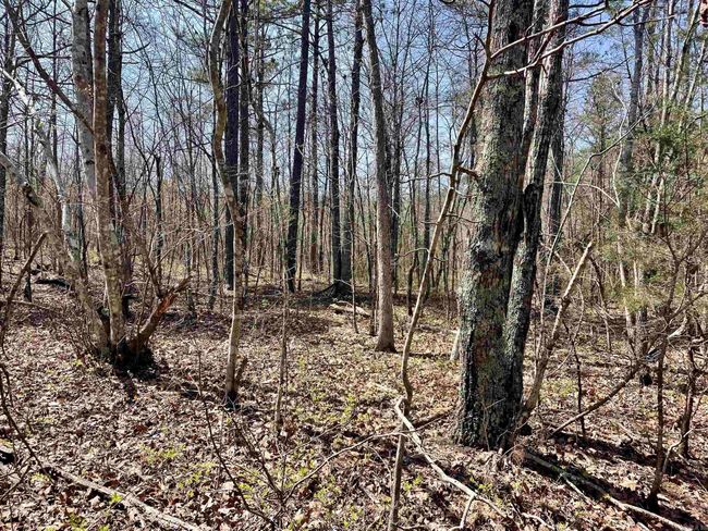 000 Dabney Rd, Home with 0 bedrooms, 0 bathrooms and null parking in Jerusalem AR | Image 25
