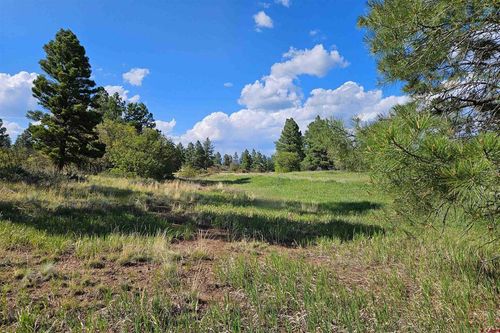 1305 Trails Blvd, Pagosa Springs, CO, 81147 | Card Image
